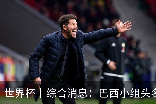 世界杯丨综合消息：巴西小组头名晋级 南非创造球队历史